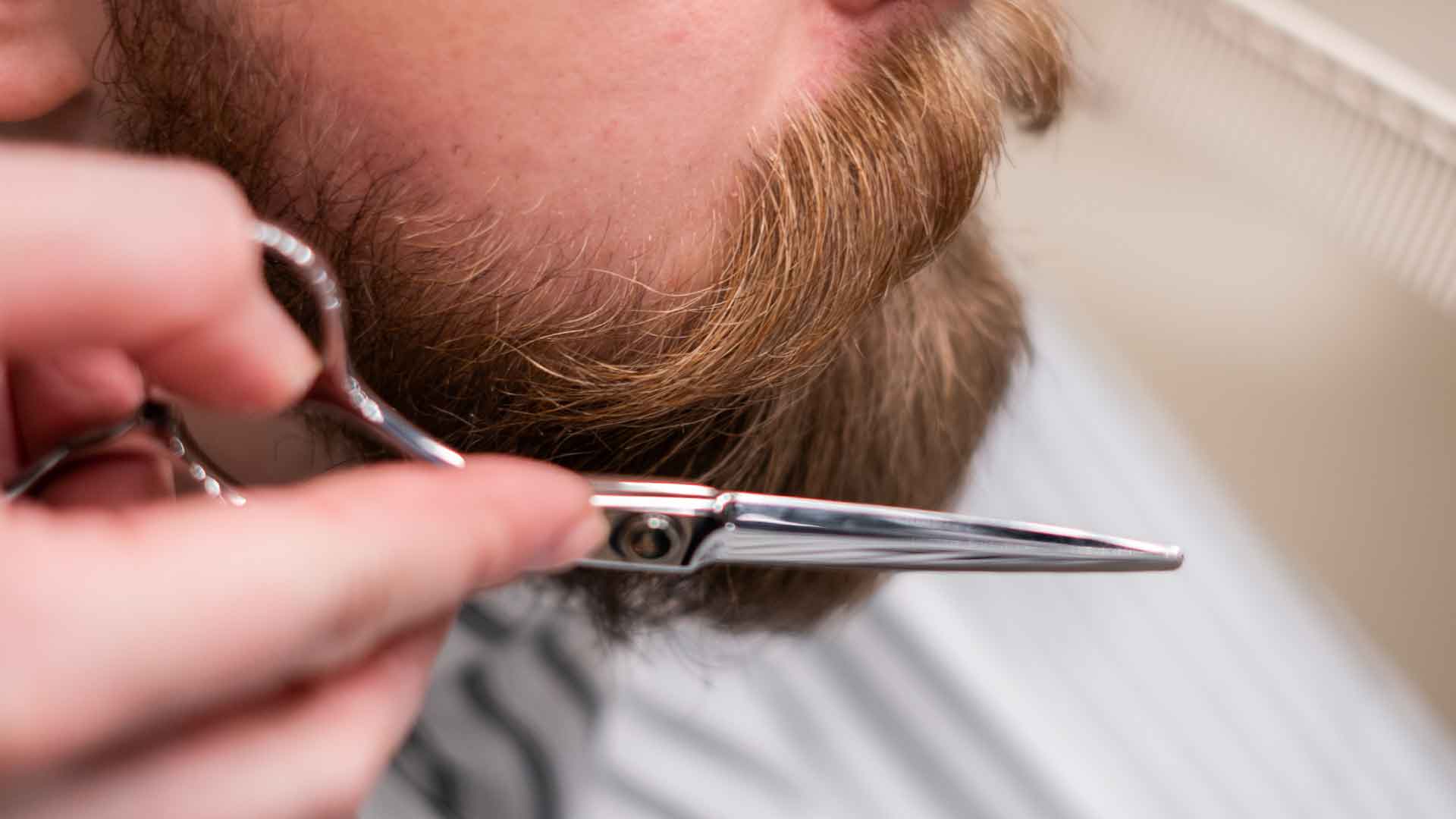 Beard Grooming