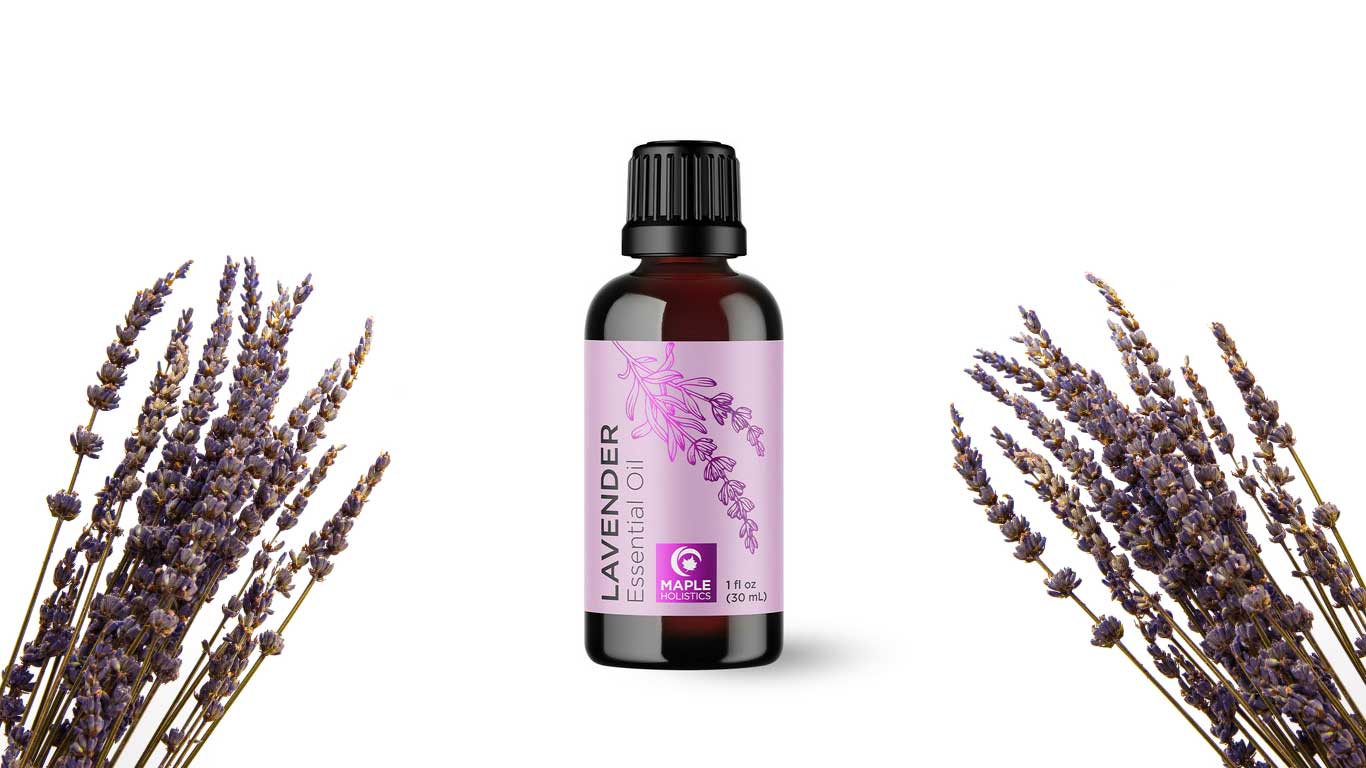 Maple Holistics Lavender Oil
